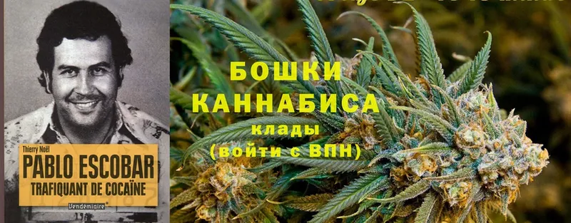 наркошоп  Томск  Бошки марихуана THC 21% 